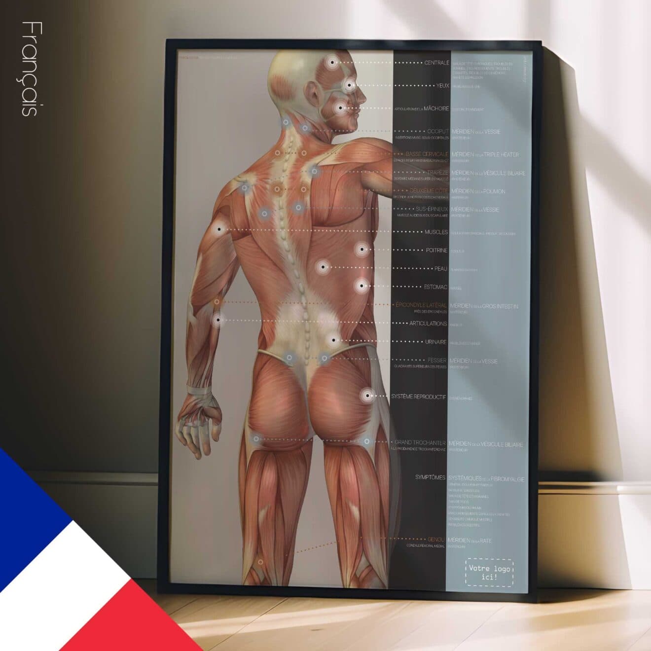 Fibromialgia; Punti dolenti e sintomi. Opere d'arte di anatomia e fisiologia da educare.design
