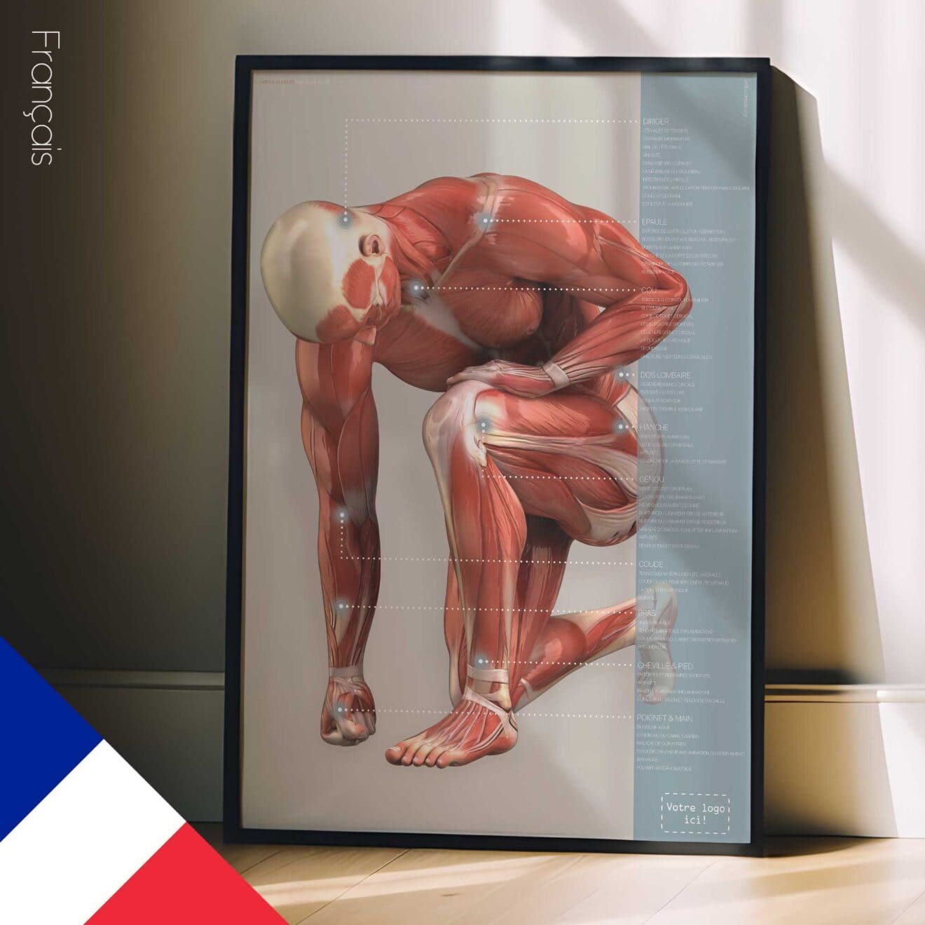 Injuries and Ailments. Anatomy and physiology artwork from educare.design