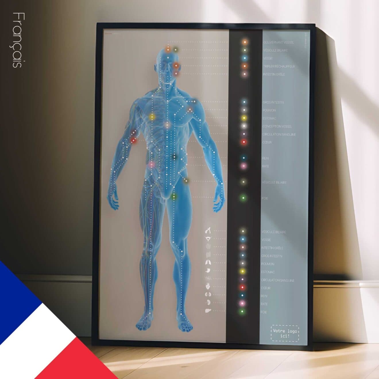 Canaux méridiens. Dessin d'anatomie et de physiologie d'educare.design