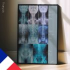 Fehlausrichtung, Anatomie und Physiologie - Kunstwerke von educare.design