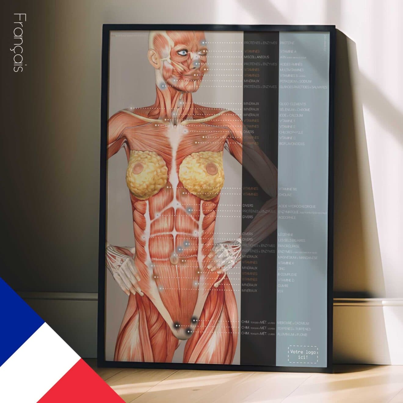 Nutritional Energy Reflex Points. Anatomy and physiology artwork from educare.design