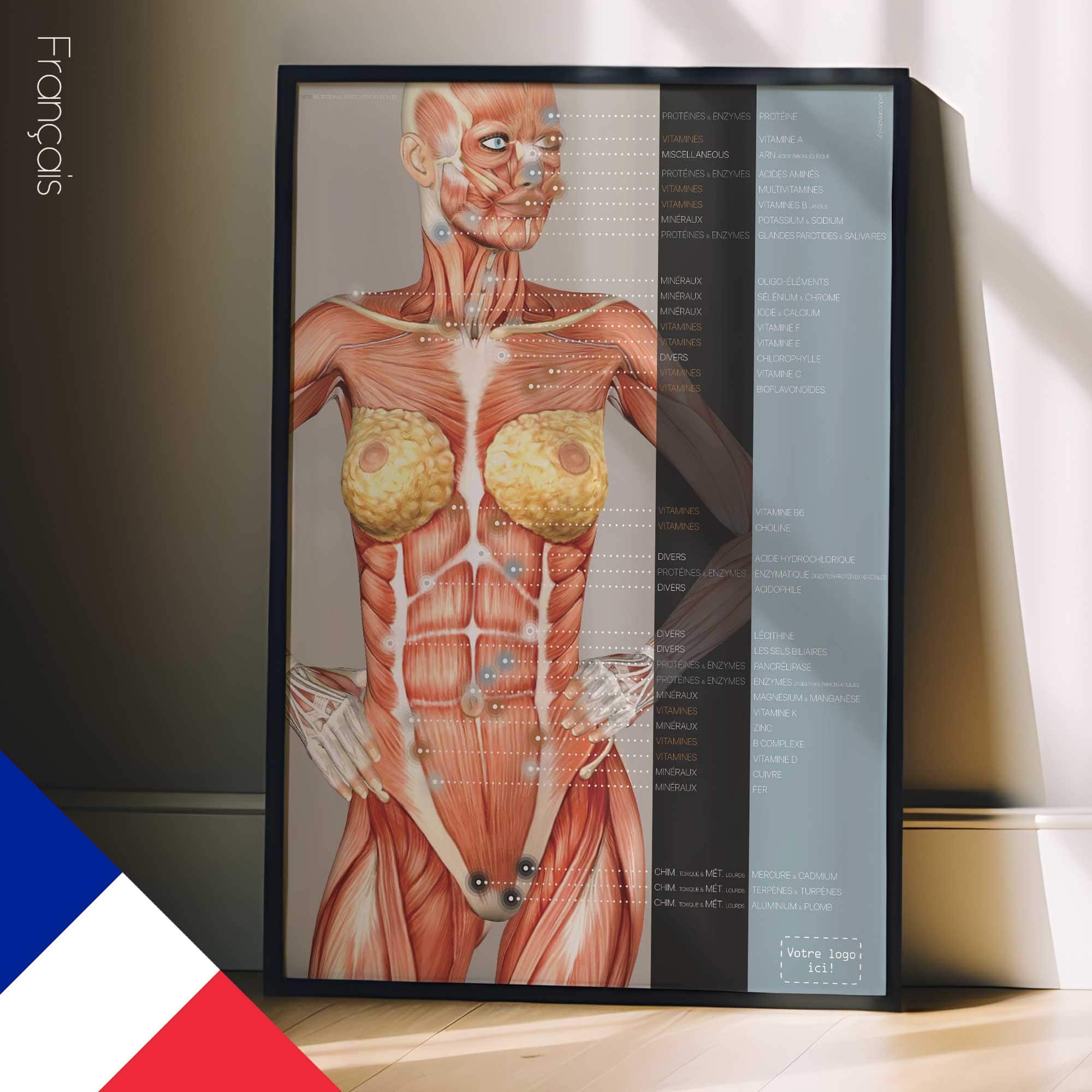 Points réflexes de l'énergie nutritionnelle. Dessin d'anatomie et de physiologie d'educare.design