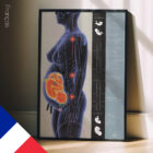 Pregnancy & Postural Changes