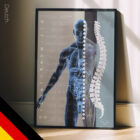 Autonomic Nervous System – educare.design Vegetatives Nervensystem