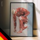 Injuries and Ailments (chronic and acute) – educare.design Verletzungen und Beschwerden