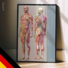 Sclerotomes Pain Map – educare.design Sklerotom-Schmerzkarte