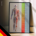 Treatment Plan (Road-to-Recovery) – educare.design Behandlungsplan (Weg zum Wohlbefinden)