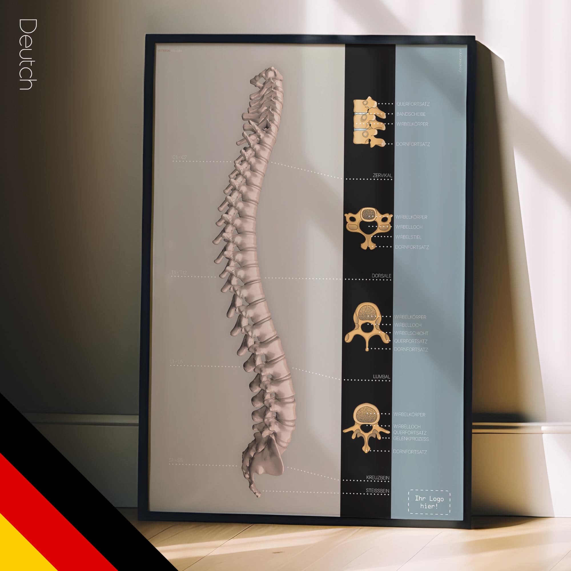 Wirbelsäulen-Kunstwerke