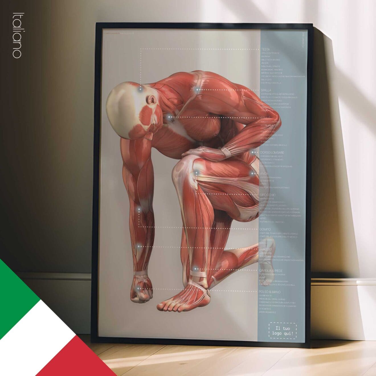 Lesioni e Disturbi