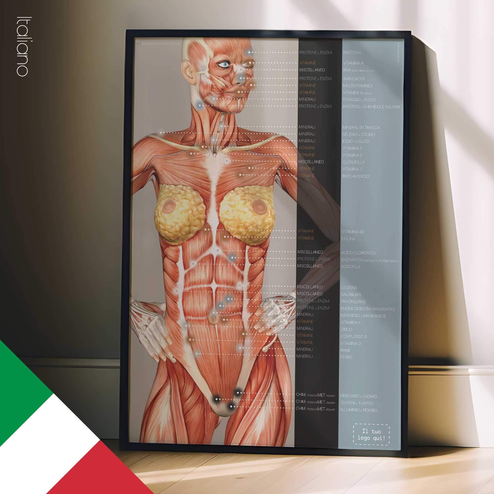 Punti Riflessi Energetici Nutrizionali