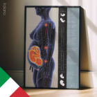 Gravidanza e Cambiamenti Posturali