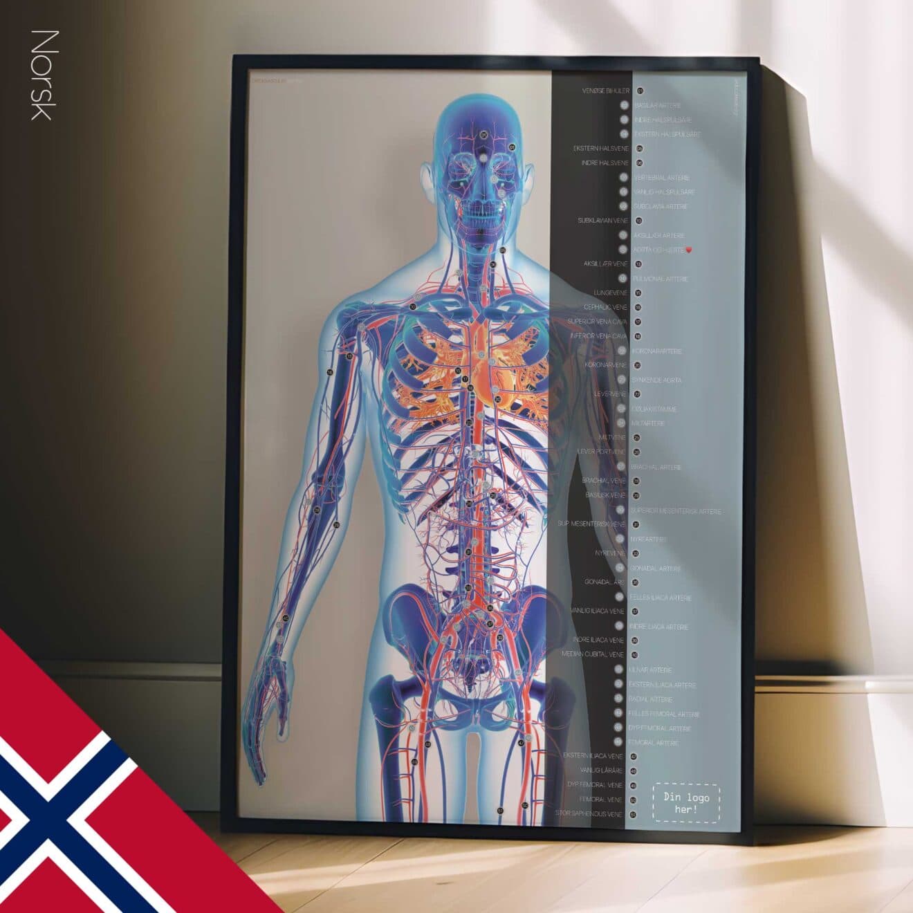 Herz-Kreislauf-System Kunstwerk von educare.design