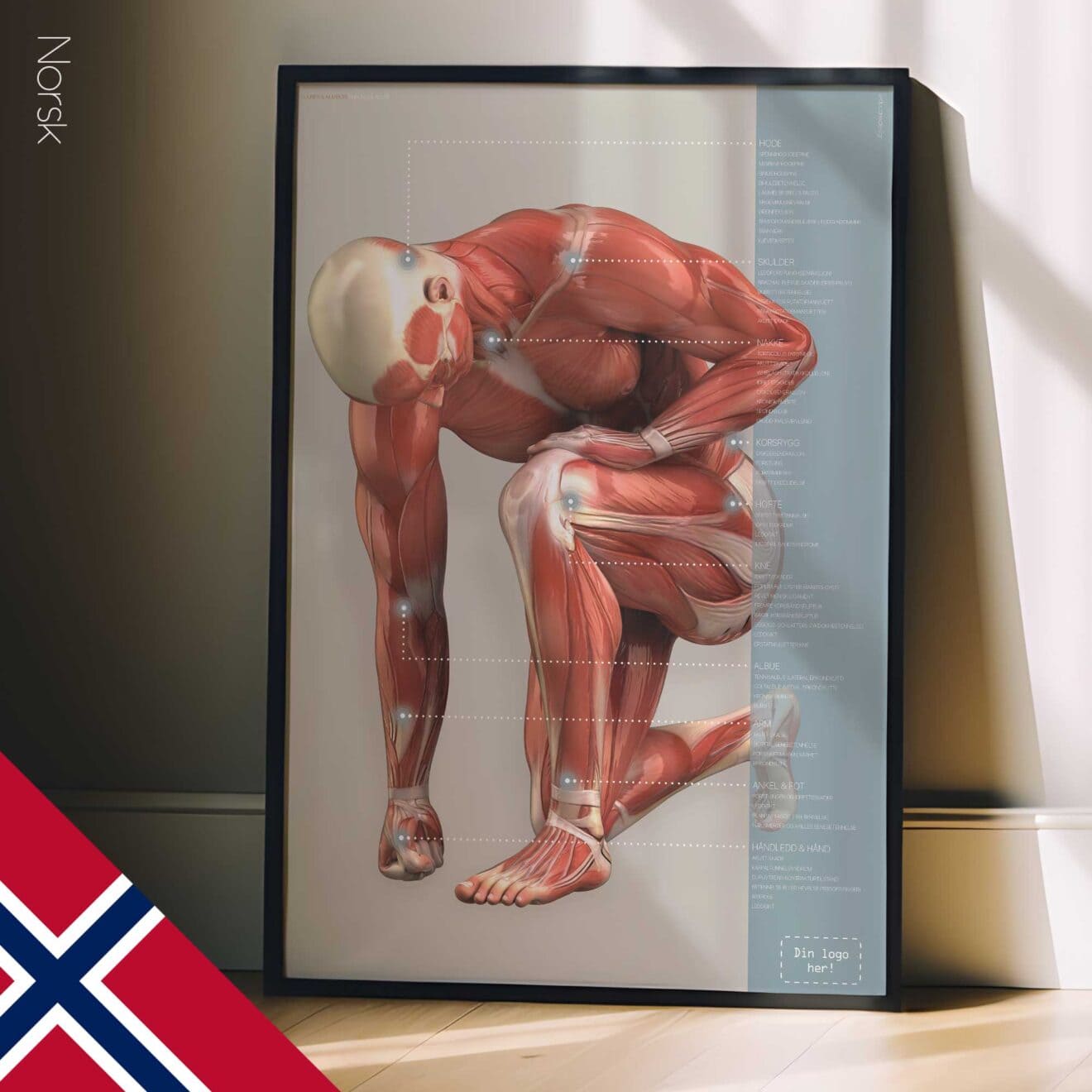 Injuries and Ailments. Anatomy and physiology artwork from educare.design