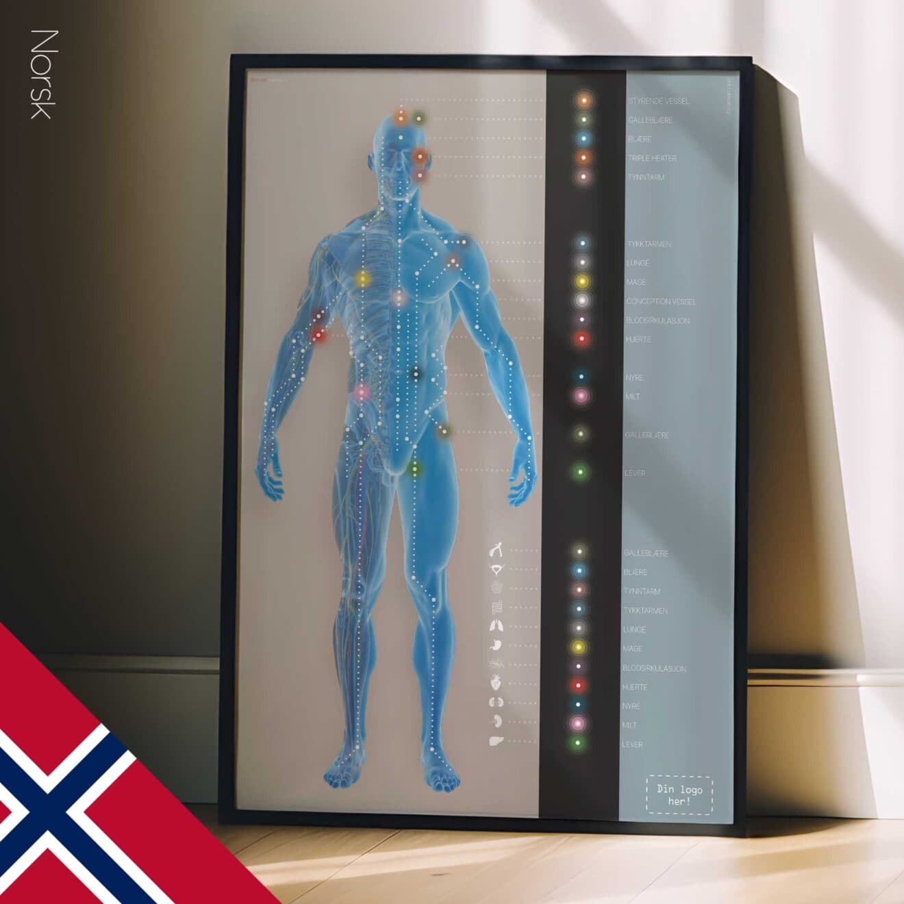 Canaux méridiens. Dessin d'anatomie et de physiologie d'educare.design
