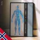 Canali meridiani. Opere d'arte di anatomia e fisiologia da educare.design