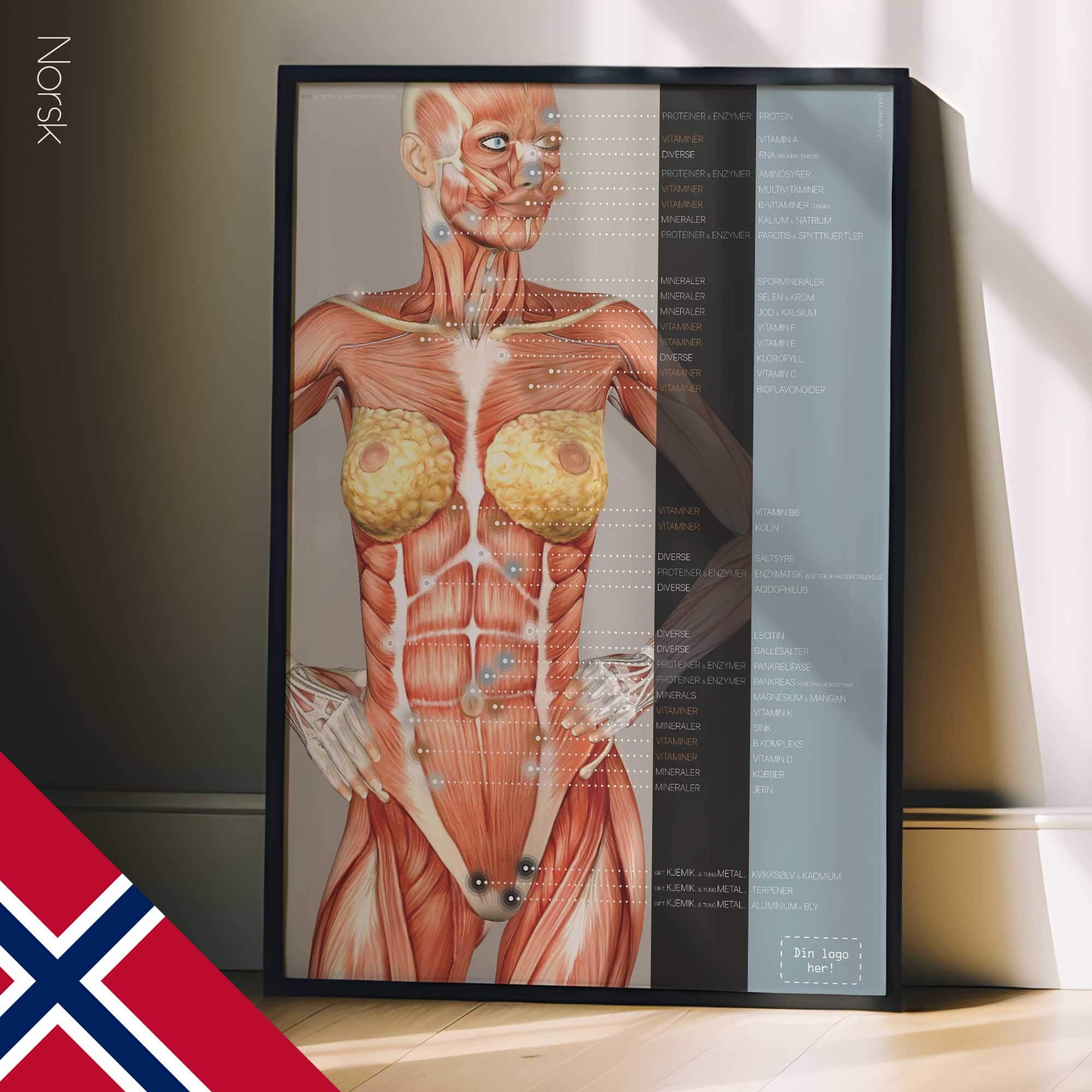 Points réflexes de l'énergie nutritionnelle. Dessin d'anatomie et de physiologie d'educare.design