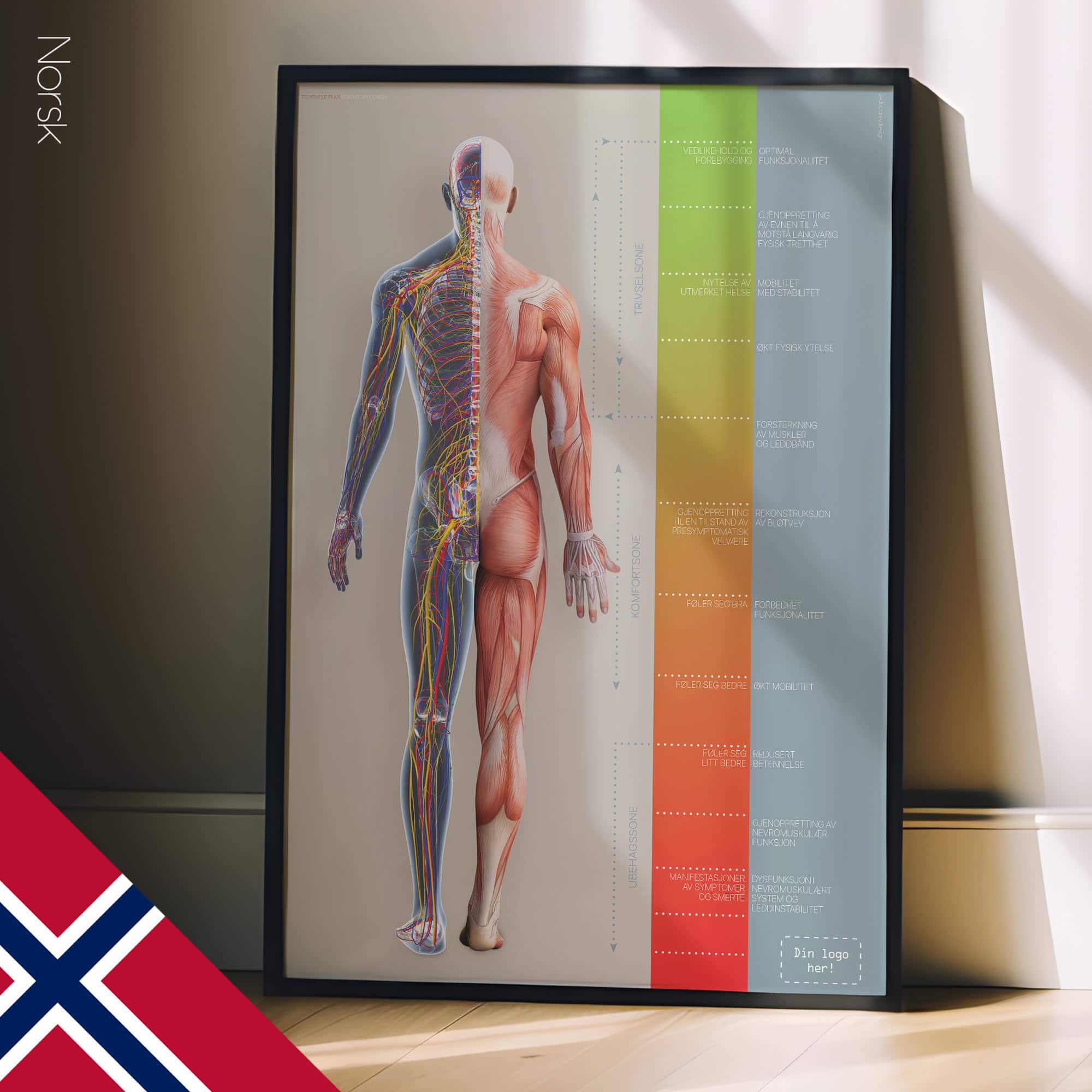 Chiropractic Treatment Plan (Road-to-Recovery)