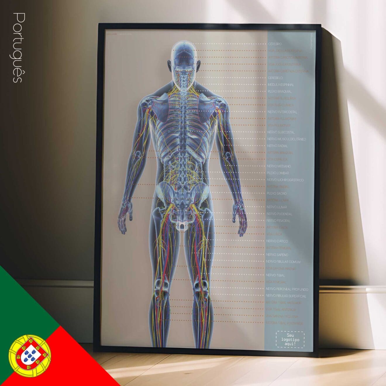 Sistemi circolatorio e nervoso. Opere d'arte di anatomia e fisiologia da educare.design