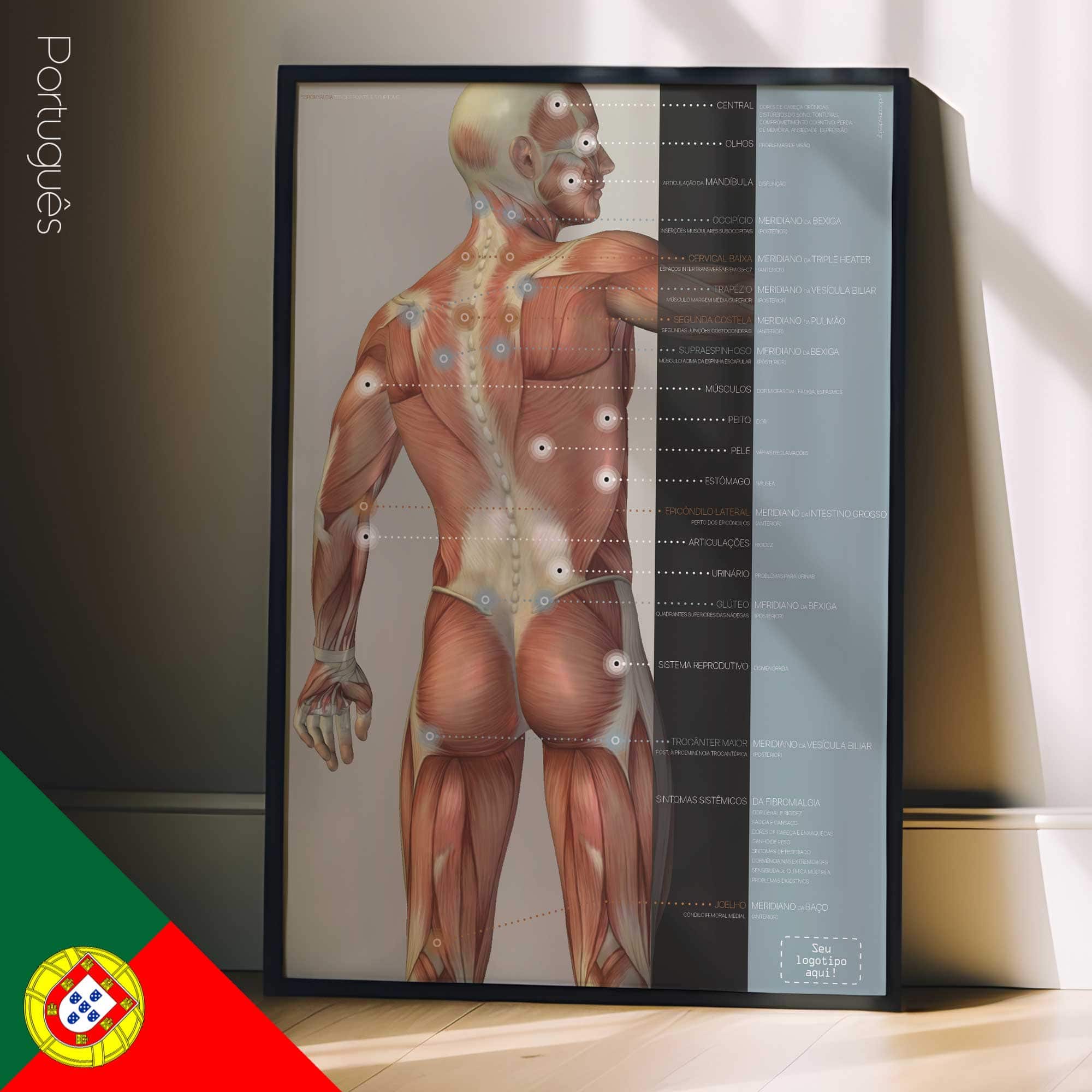 Fibromyalgia; Tender Points & Symptoms. Anatomy and physiology artwork from educare.design