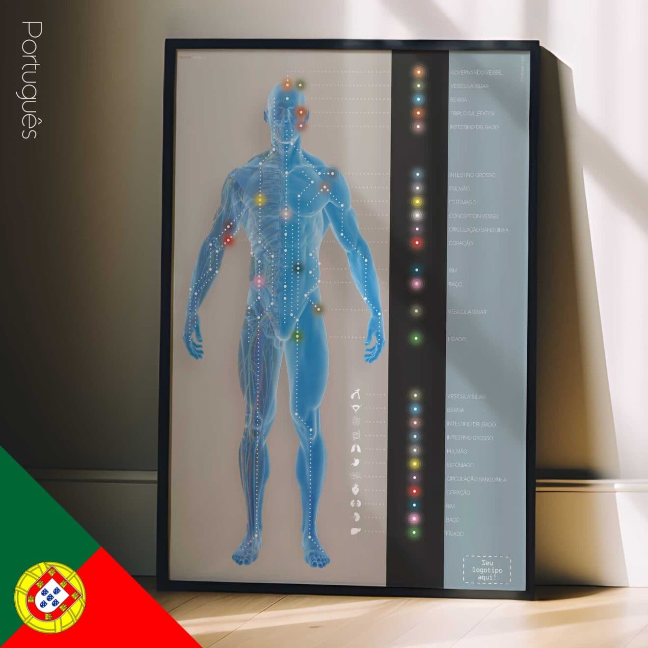 Canaux méridiens. Dessin d'anatomie et de physiologie d'educare.design