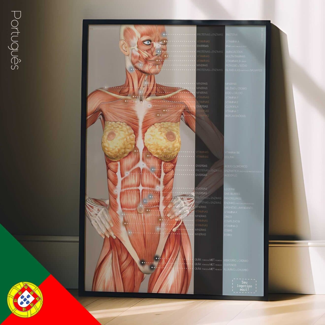 Nutritional Energy Reflex Points. Anatomy and physiology artwork from educare.design