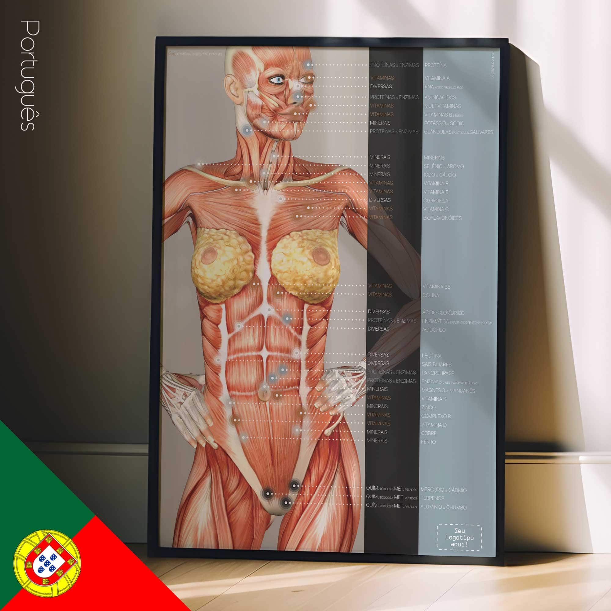 Points réflexes de l'énergie nutritionnelle. Dessin d'anatomie et de physiologie d'educare.design