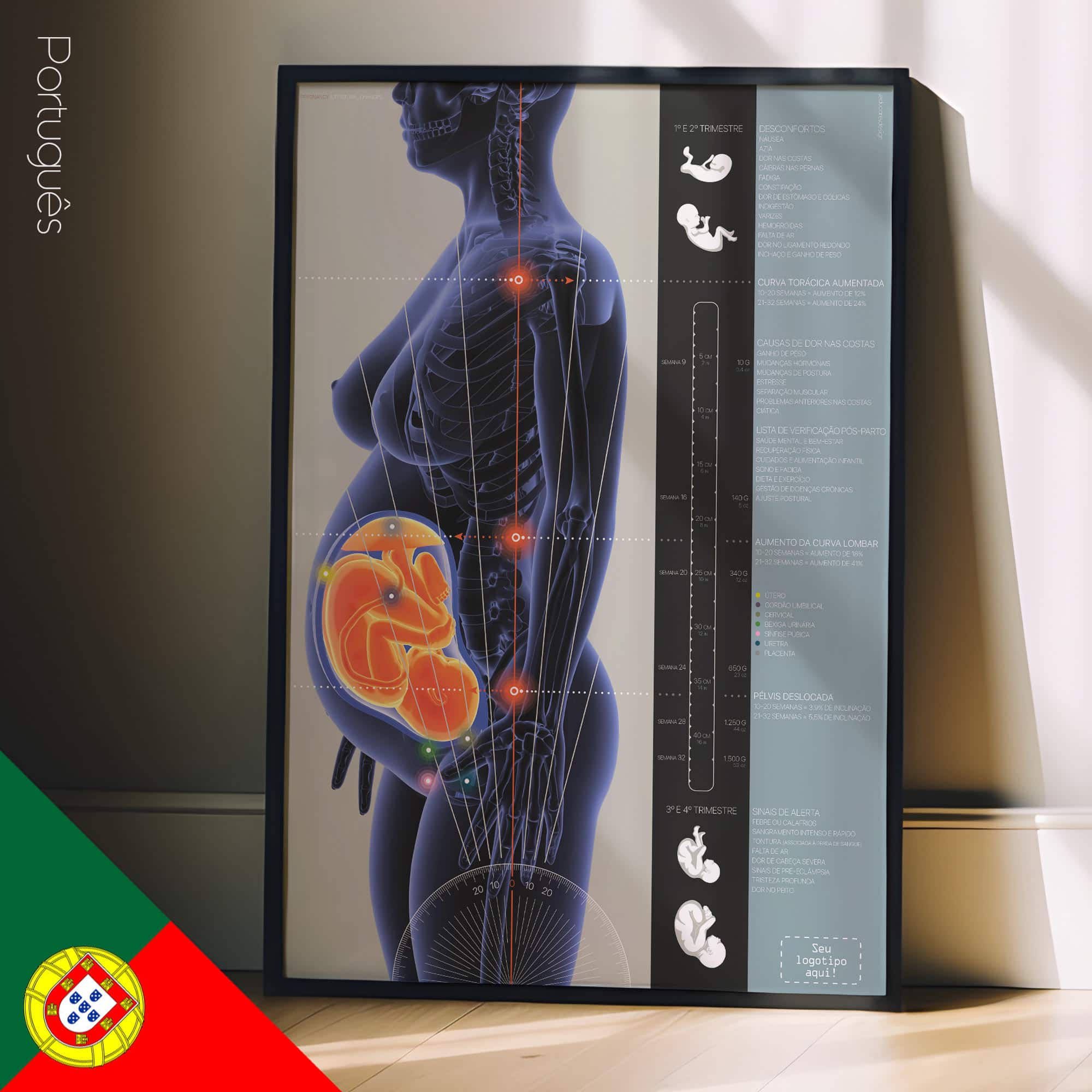 Pregnancy & Postural Changes