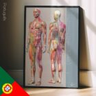 Sclerotomes Pain Map – educare.design Mappa del dolore degli sclerotomi. Opere d'arte di anatomia e fisiologia da educare.design