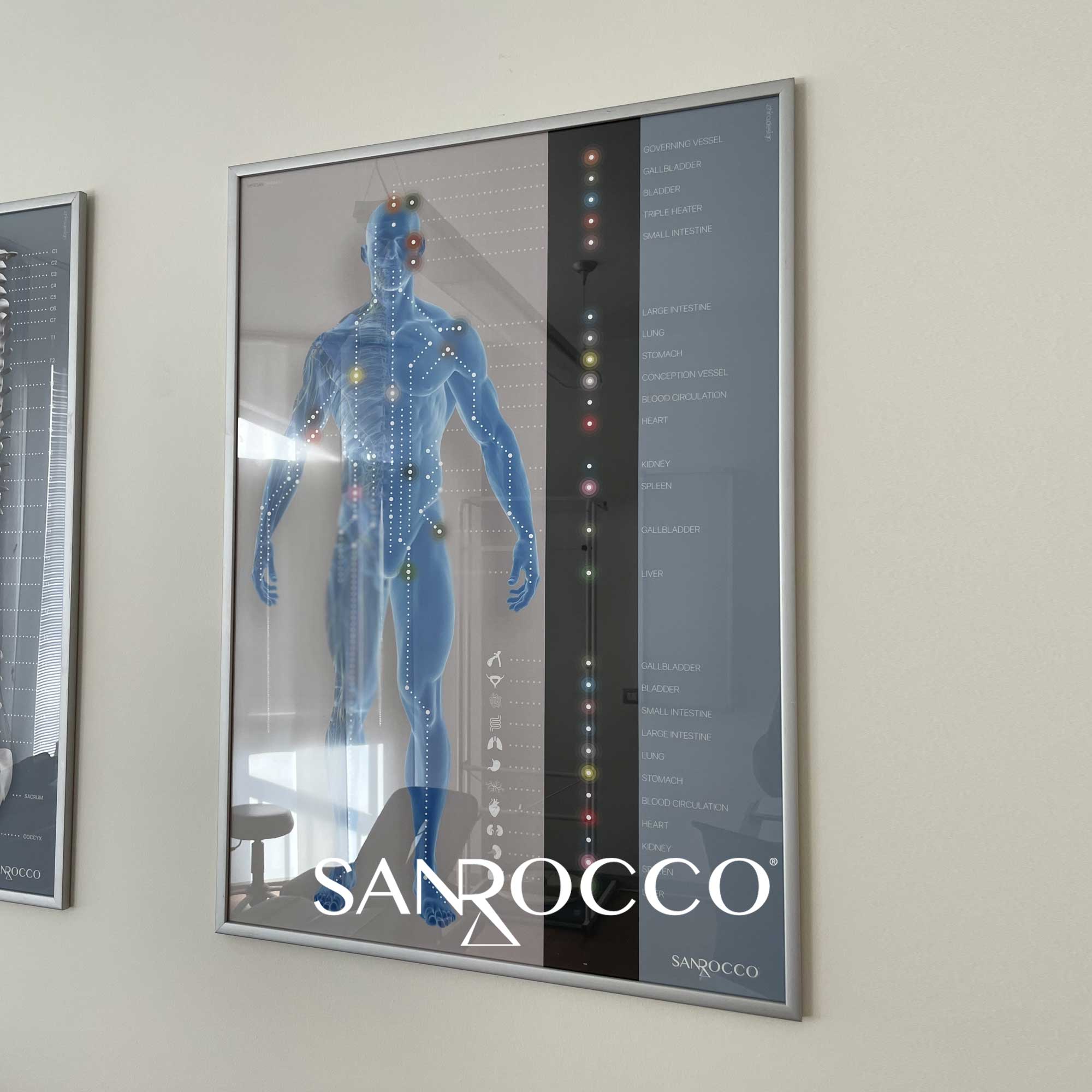 sanrocco 01 – Premium Anatomy Chart by educare.design