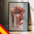 Injuries and Ailments (chronic and acute) – educare.design Lesiones y Dolencias