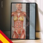 Nutritional Energy Reflex Points (NERP) – educare.design Puntos Reflejos de Energía Nutricional