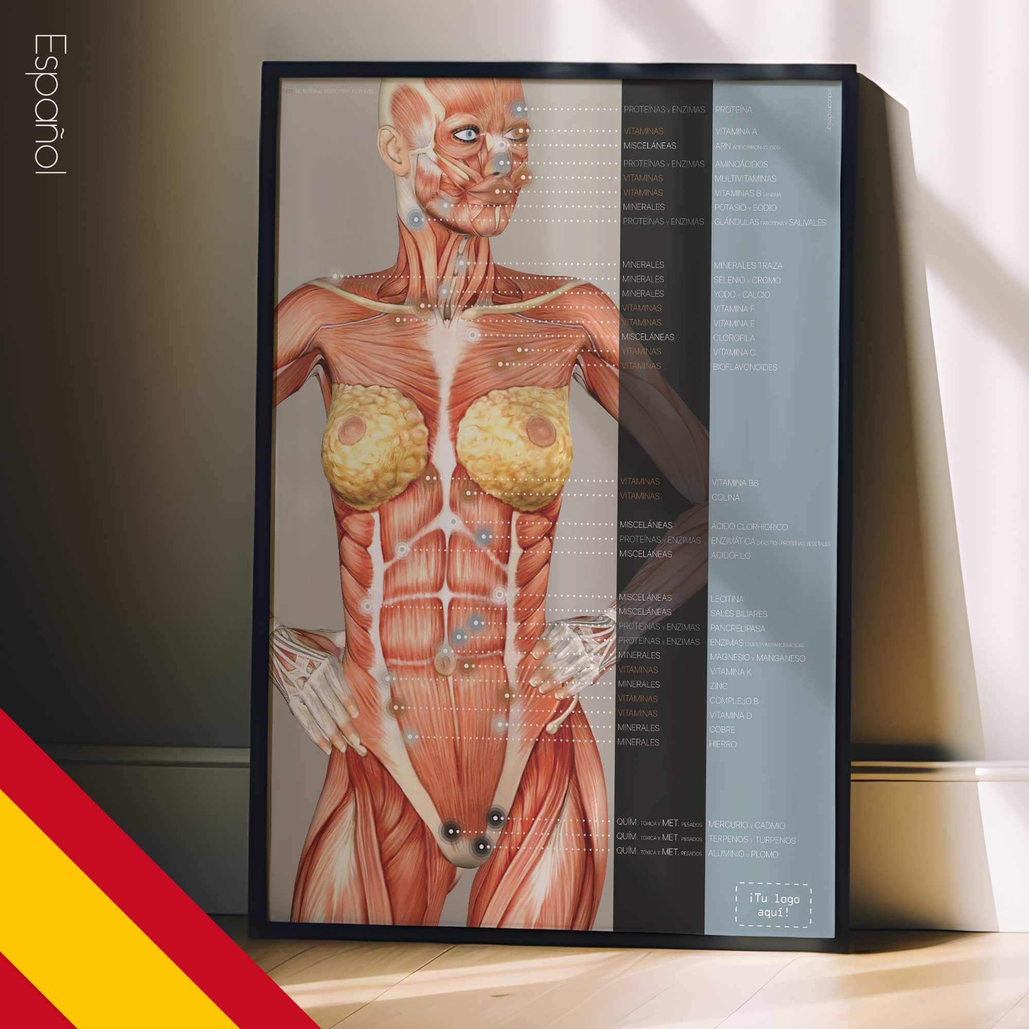 Puntos Reflejos de Energía Nutricional