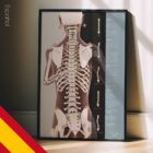 Evaluación Postural y Escoliosis