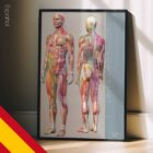 Sclerotomes Pain Map – educare.design Mapa del dolor de los Esclerotomas