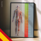 Treatment Plan (Road-to-Recovery) – educare.design Plan de Tratamiento (Road-to-Recovery)