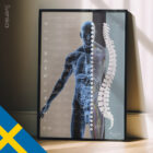 Autonomic Nervous System – educare.design Autonomic Nervous System