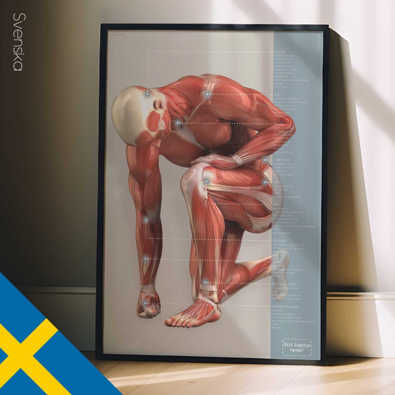 Injuries and Ailments. Anatomy and physiology artwork from educare.design
