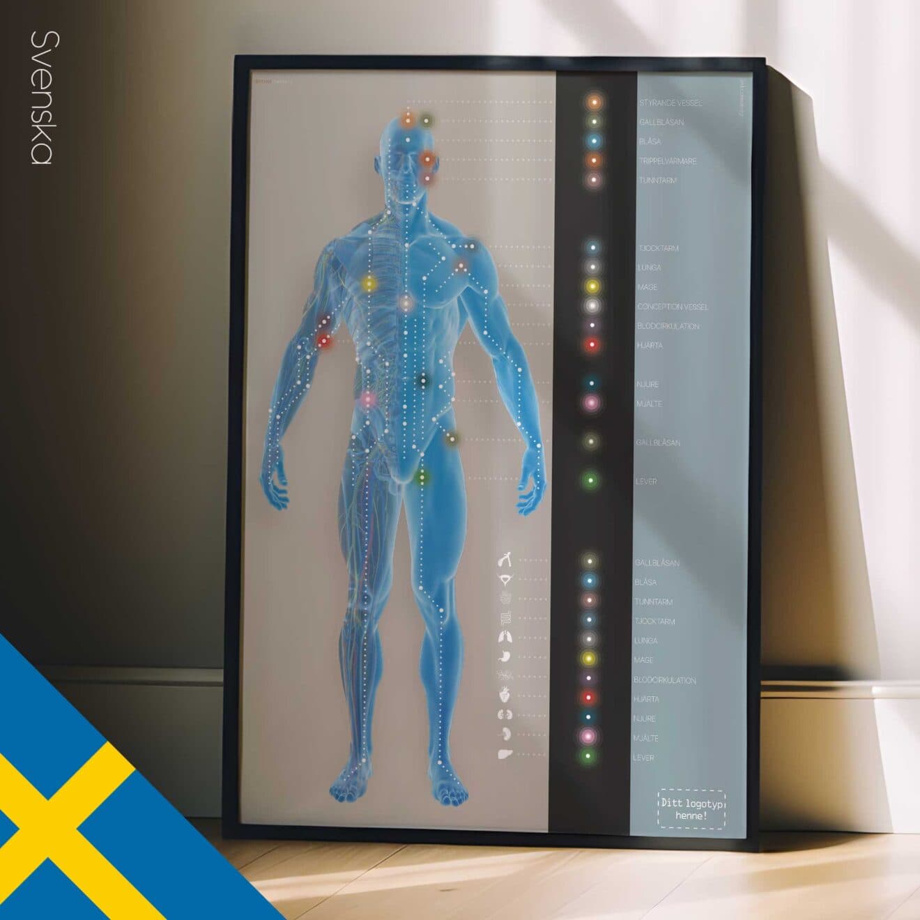 Canaux méridiens. Dessin d'anatomie et de physiologie d'educare.design