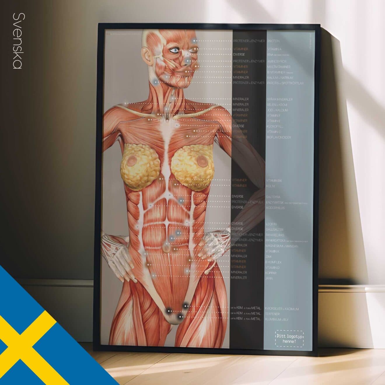 Nutritional Energy Reflex Points. Anatomy and physiology artwork from educare.design