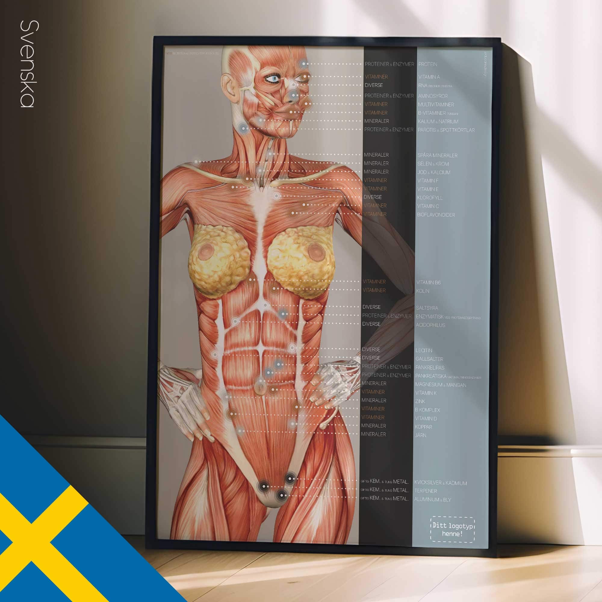 Points réflexes de l'énergie nutritionnelle. Dessin d'anatomie et de physiologie d'educare.design