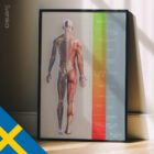 Treatment Plan (Road-to-Recovery) – educare.design Chiropractic Treatment Plan (Road-to-Recovery)