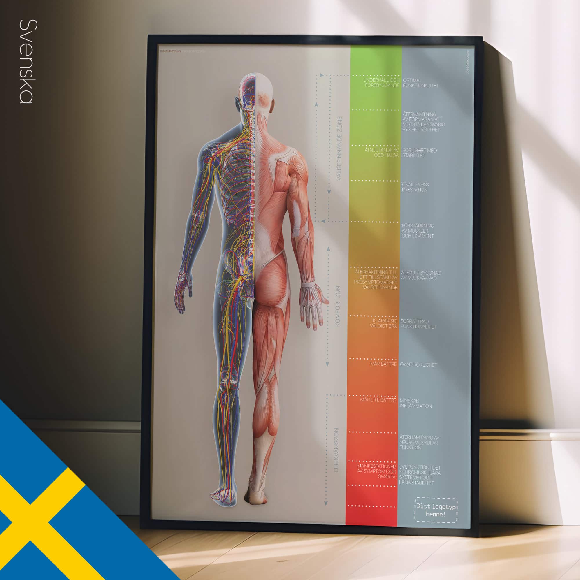 Chiropractic Treatment Plan (Road-to-Recovery)