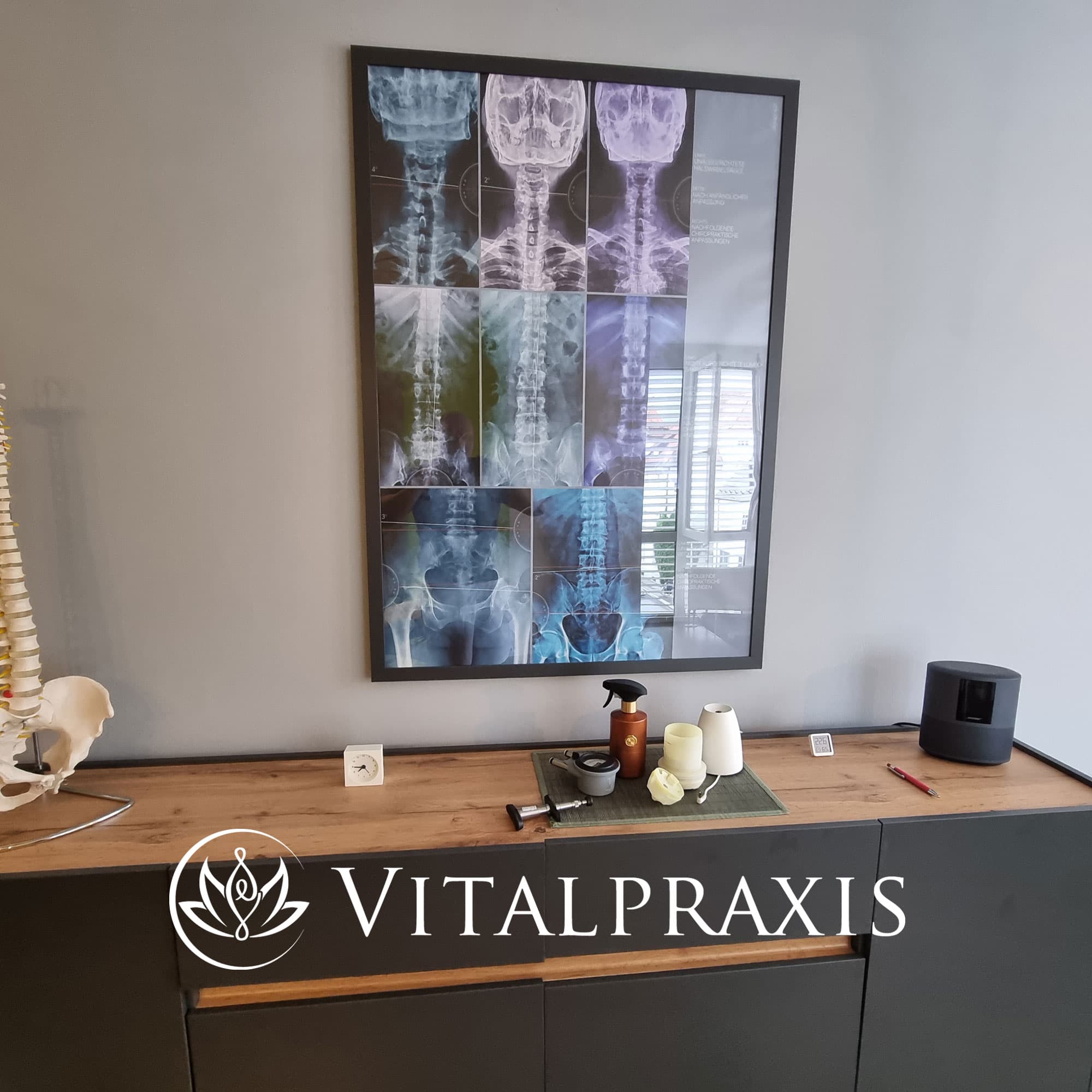 – Premium Anatomy Chart by educare.design