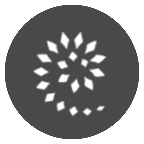 tille – Premium Anatomy Chart by educare.design