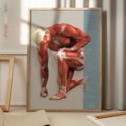 Lesioni e Disturbi Muscoloscheletrici Comuni tavola anatomica per studi e cliniche