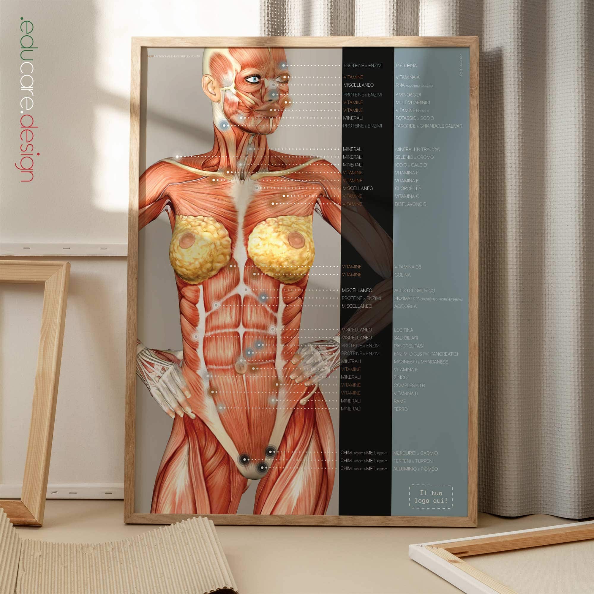 Punti Riflessi Energetici Nutrizionali tavola anatomica per studi e cliniche Punti Riflessi Energetici Nutrizionali tavola anatomica per studi e cliniche