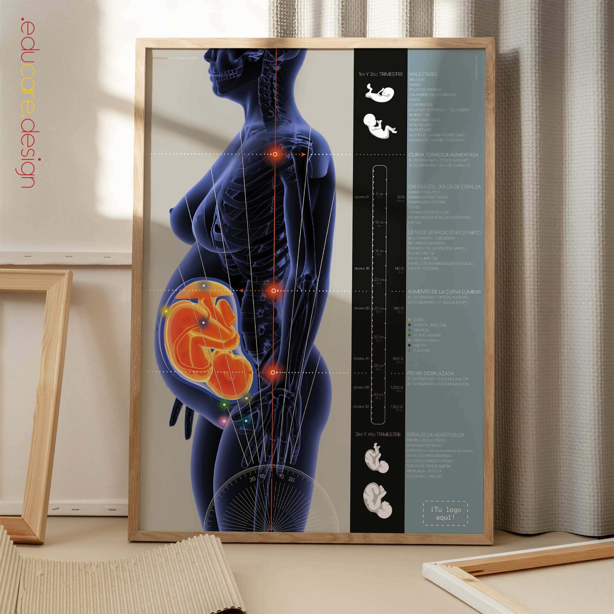 Embarazo y cambios posturales, obra de arte de educare.design