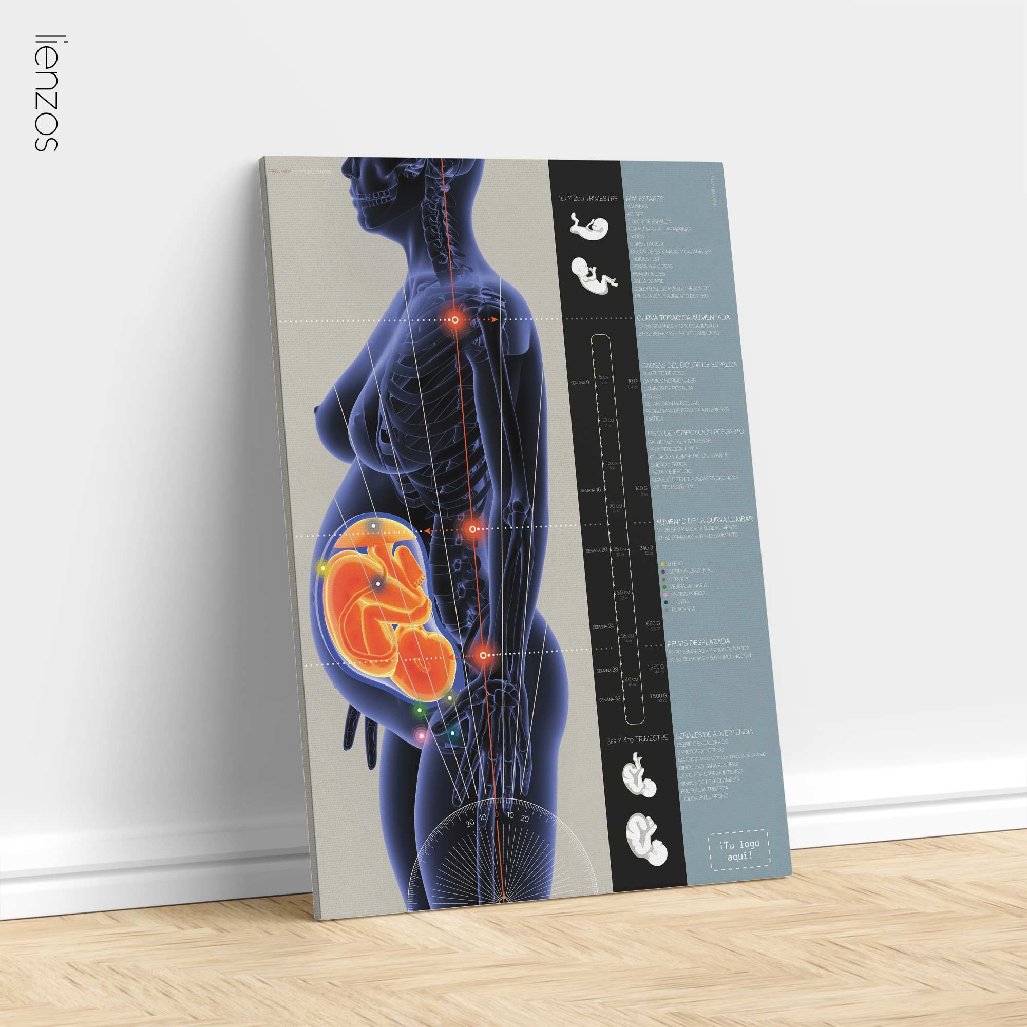 Embarazo y Cambios Posturales