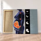 Pregnancy and Postural Changes