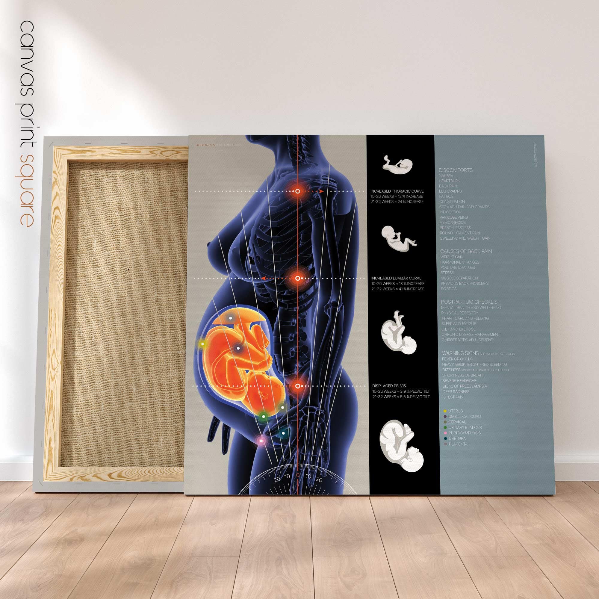 Pregnancy and Postural Changes